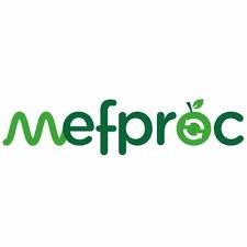 Logo MEFPROC